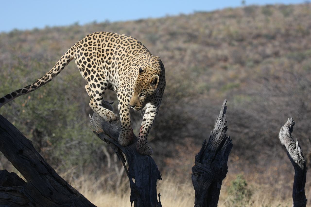 [5719] 2016_06_23_10_25_43_Africa_Canon_EOS_40D_IMG__01063.jpg