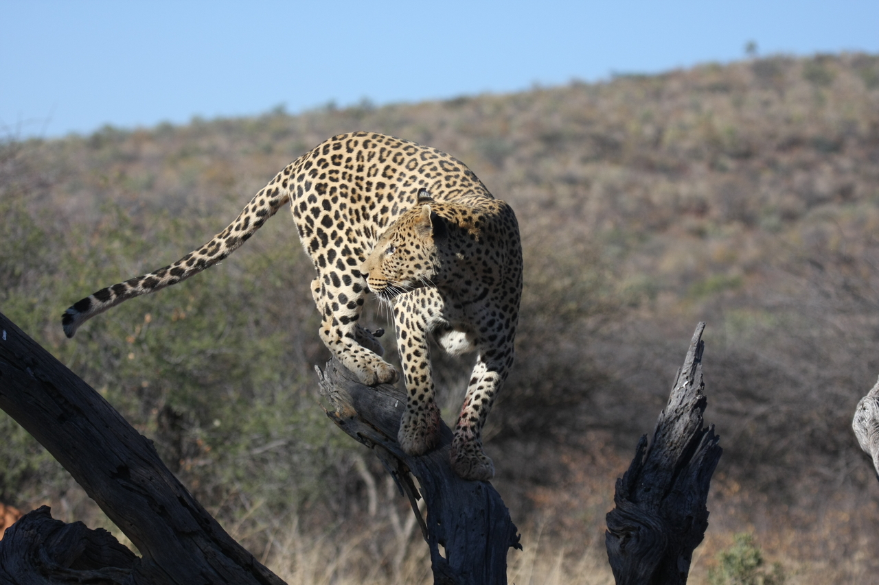 [5723] 2016_06_23_10_25_44_Africa_Canon_EOS_40D_IMG__00230.jpg