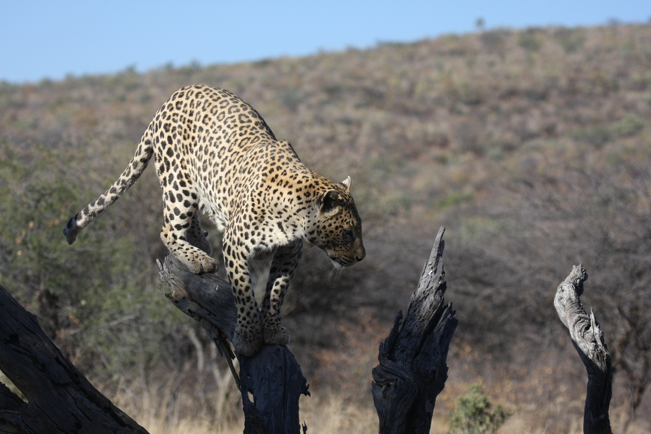 [5734] 2016_06_23_10_25_46_Africa_Canon_EOS_40D_IMG__08514.jpg