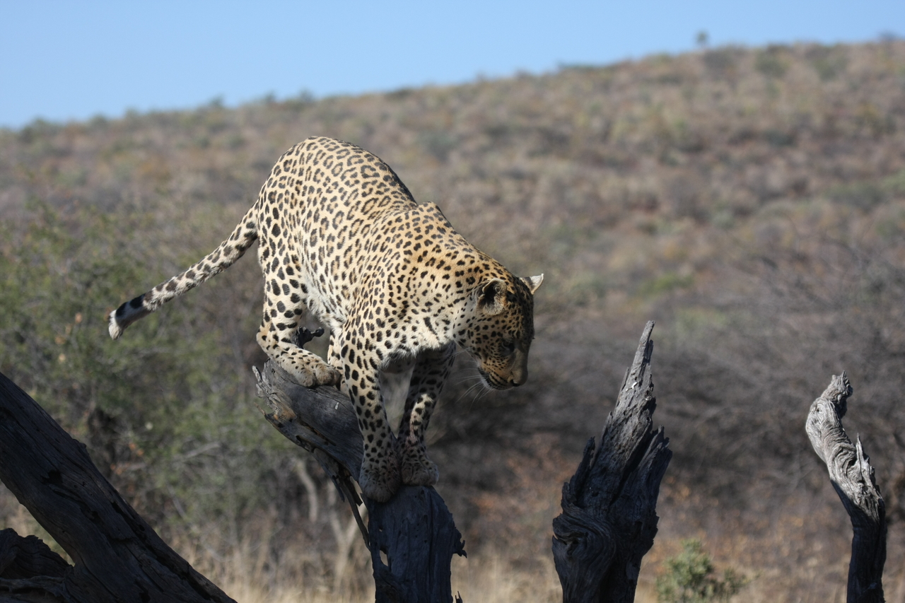 [5735] 2016_06_23_10_25_47_Africa_Canon_EOS_40D_IMG__00234.jpg