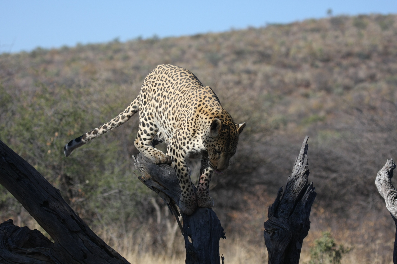 [5743] 2016_06_23_10_25_47_Africa_Canon_EOS_40D_IMG__08517.jpg