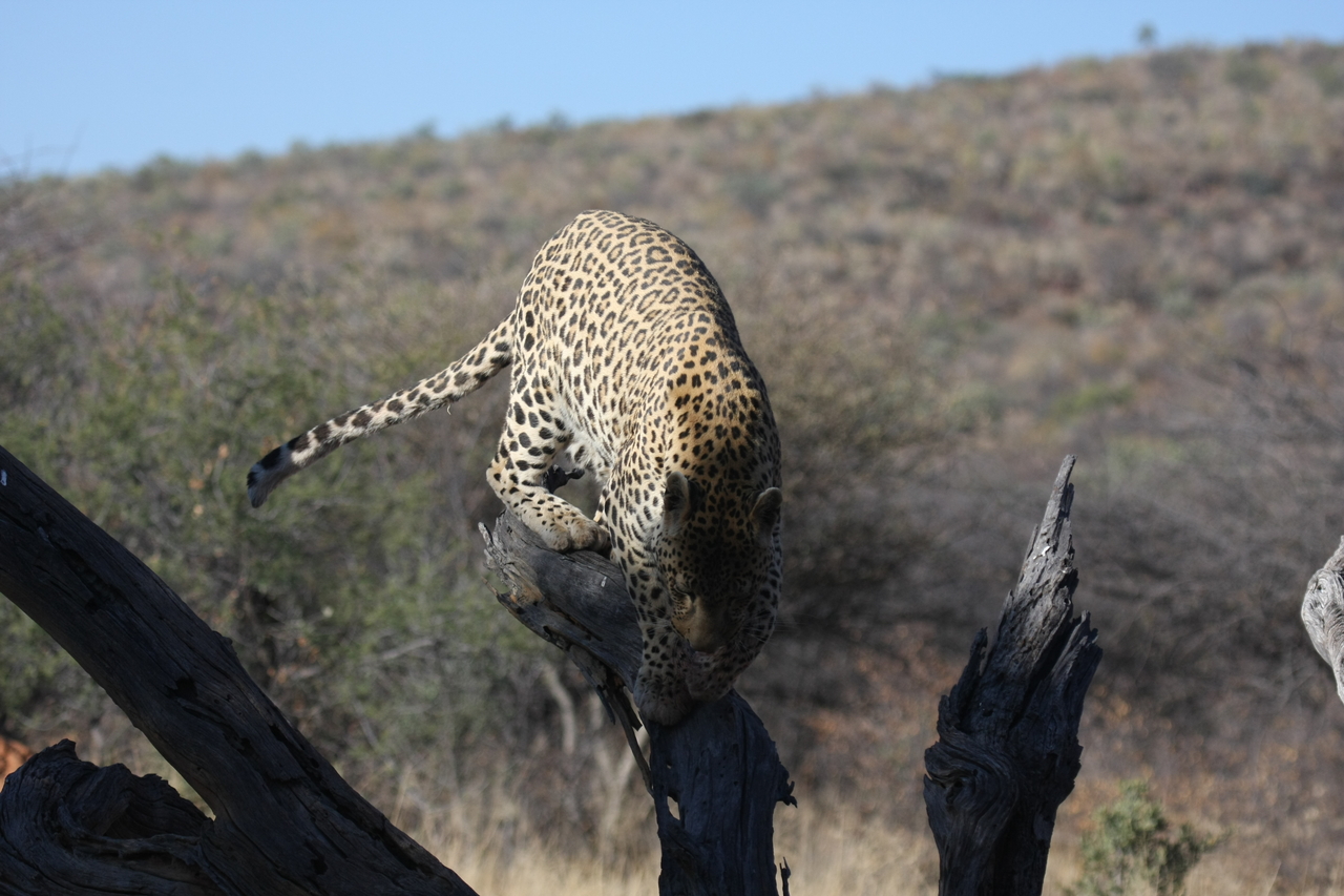 [5745] 2016_06_23_10_25_48_Africa_Canon_EOS_40D_IMG__00238.jpg