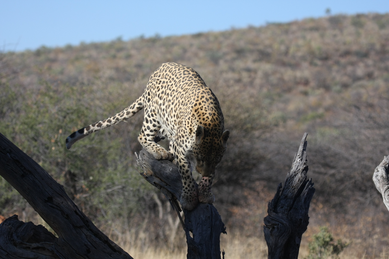 [5746] 2016_06_23_10_25_48_Africa_Canon_EOS_40D_IMG__01071.jpg