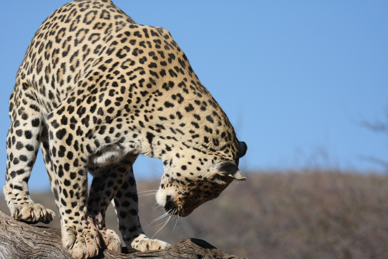 [5808] 2016_06_23_10_26_29_Africa_Canon_EOS_40D_IMG__00259.jpg