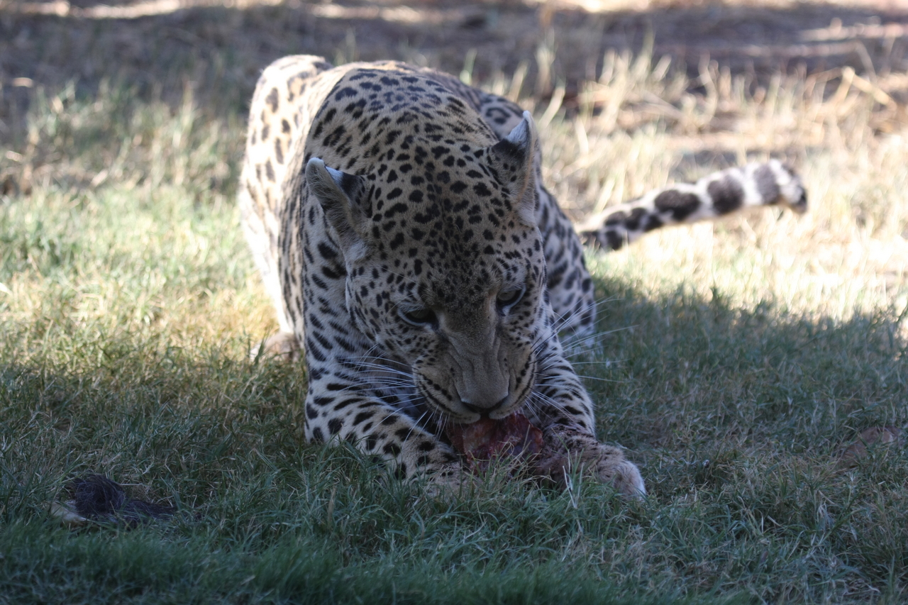 [5865] 2016_06_23_10_27_21_Africa_Canon_EOS_40D_IMG__01107.jpg