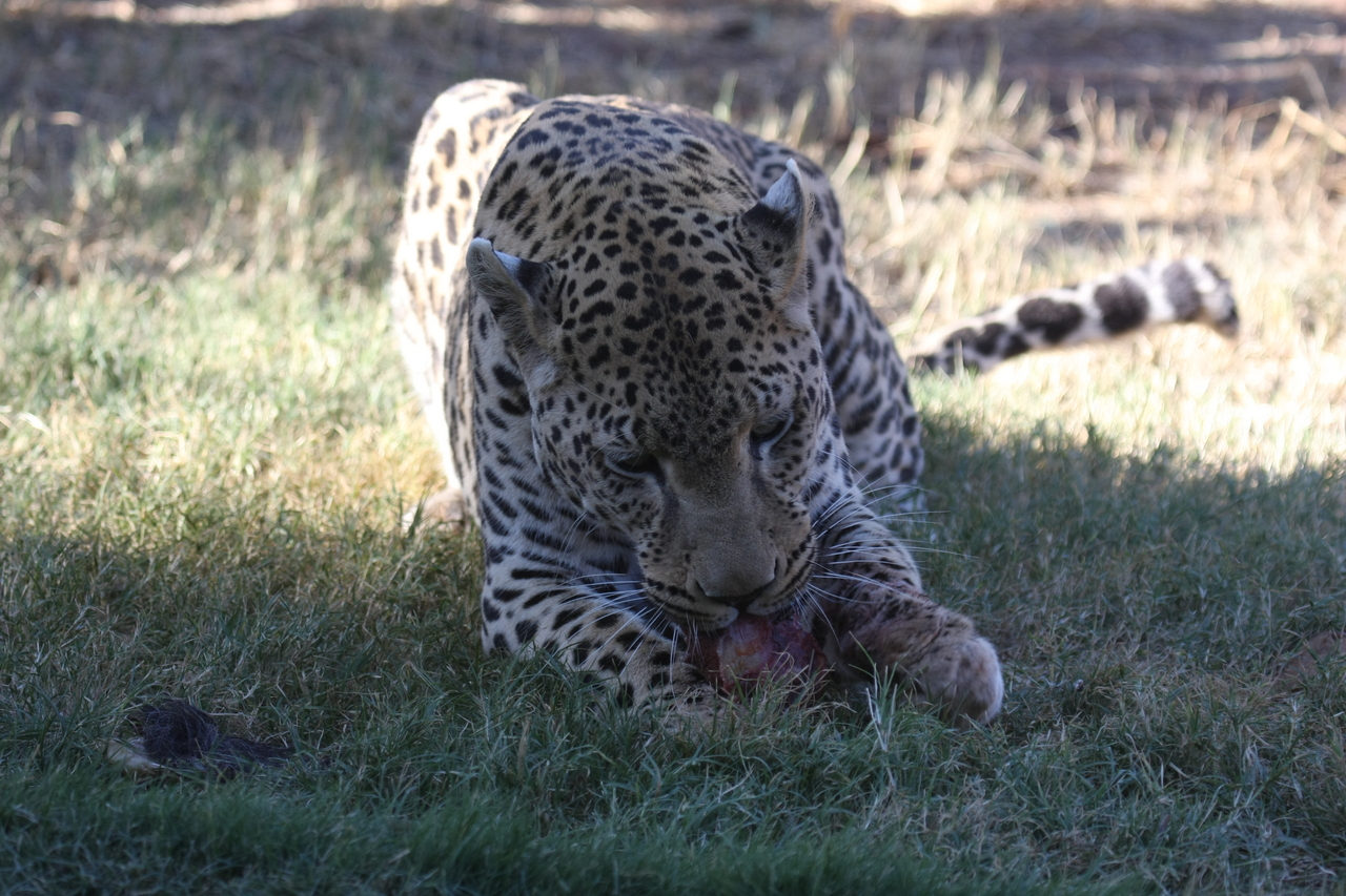 [5867] 2016_06_23_10_27_22_Africa_Canon_EOS_40D_IMG__00274.jpg