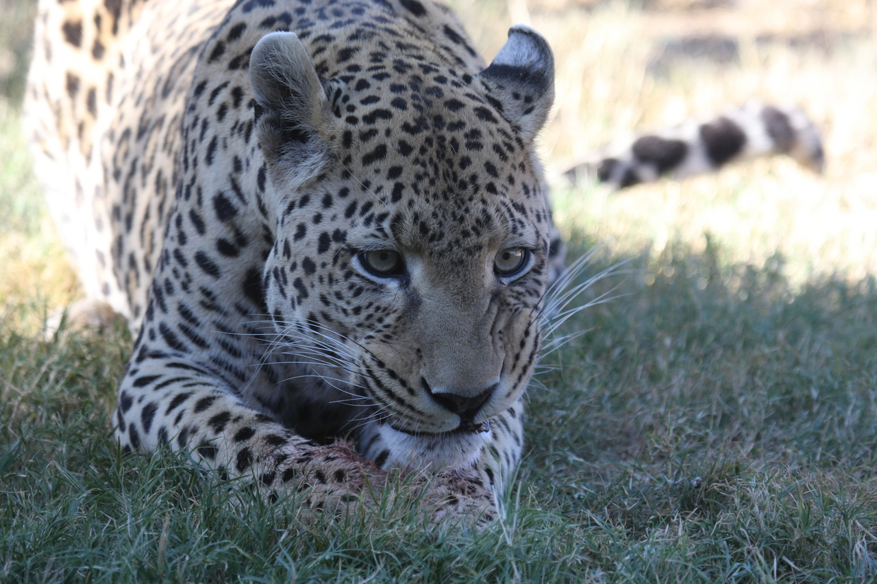 [5897] 2016_06_23_10_27_34_Africa_Canon_EOS_40D_IMG__00284.jpg