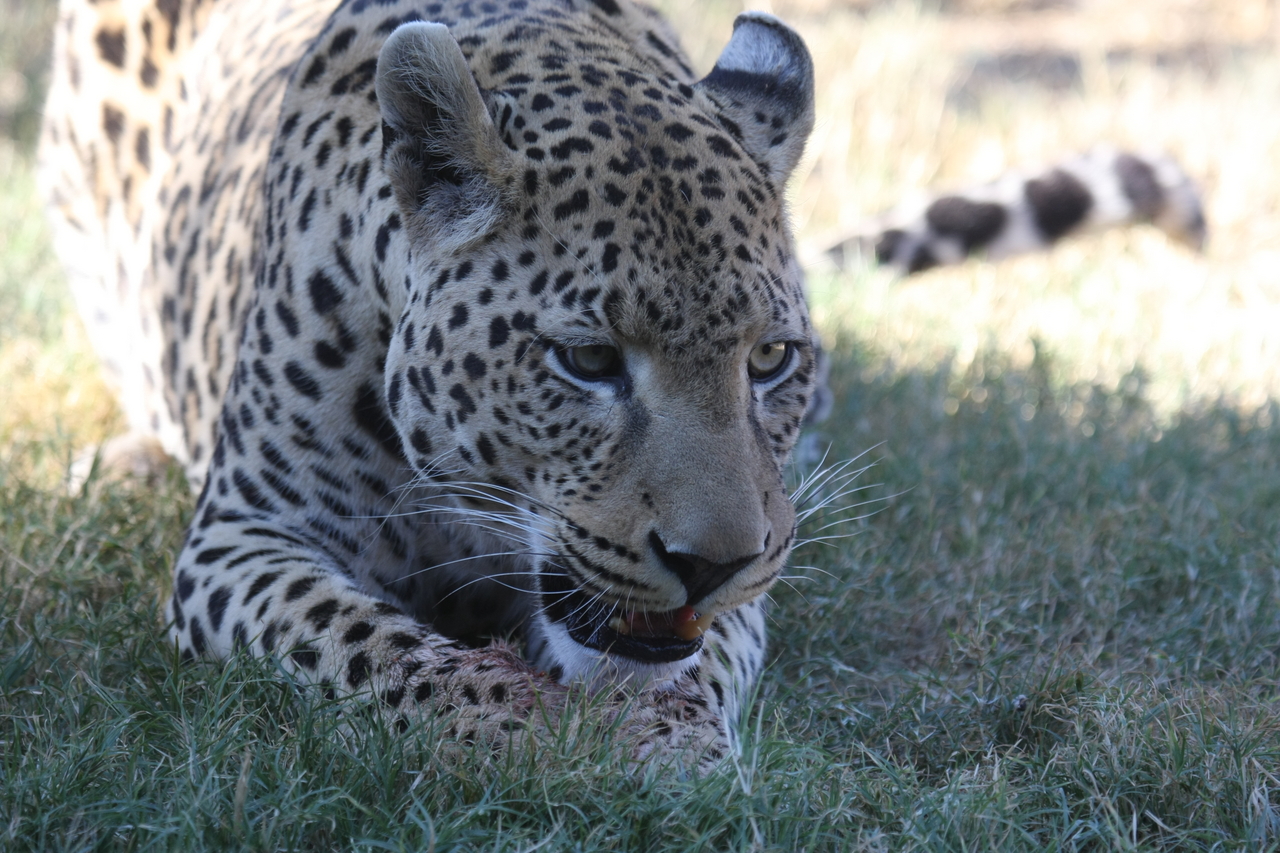 [5898] 2016_06_23_10_27_34_Africa_Canon_EOS_40D_IMG__00285.jpg