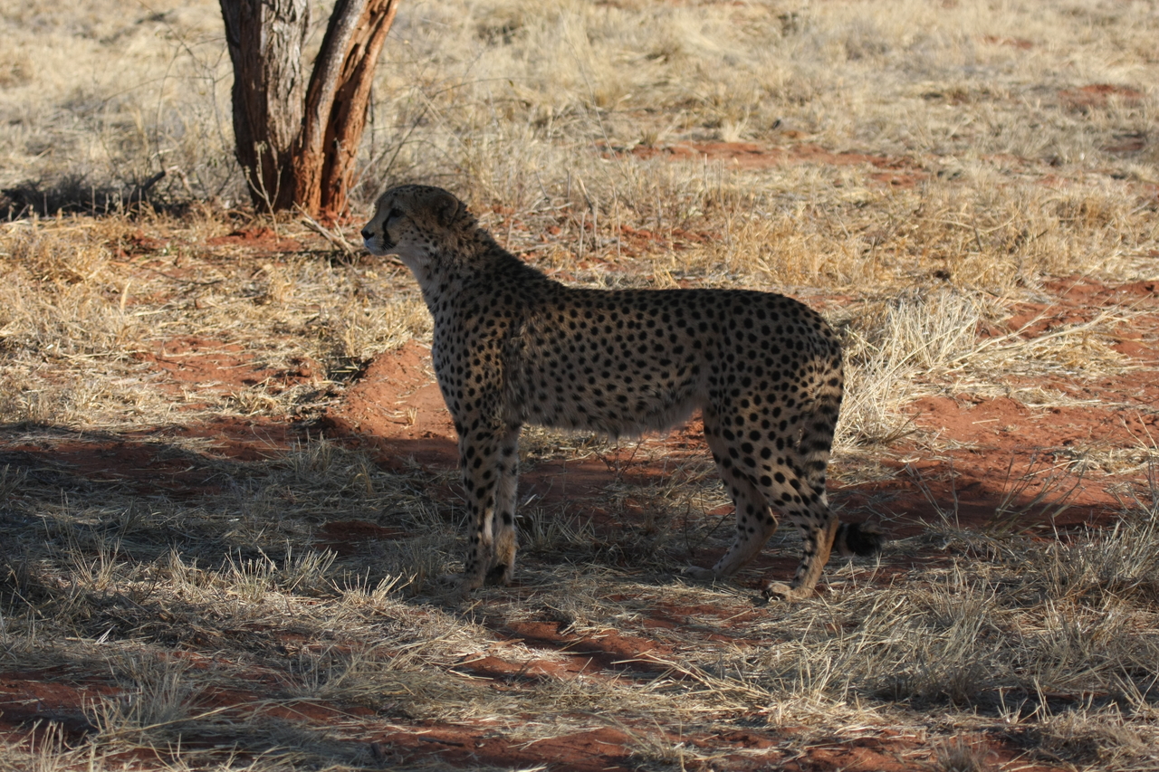 [6228] 2016_06_23_10_43_41_Africa_Canon_EOS_40D_IMG__08614.jpg