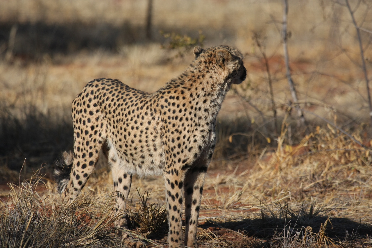 [6406] 2016_06_23_10_49_17_Africa_Canon_EOS_40D_IMG__08664.jpg