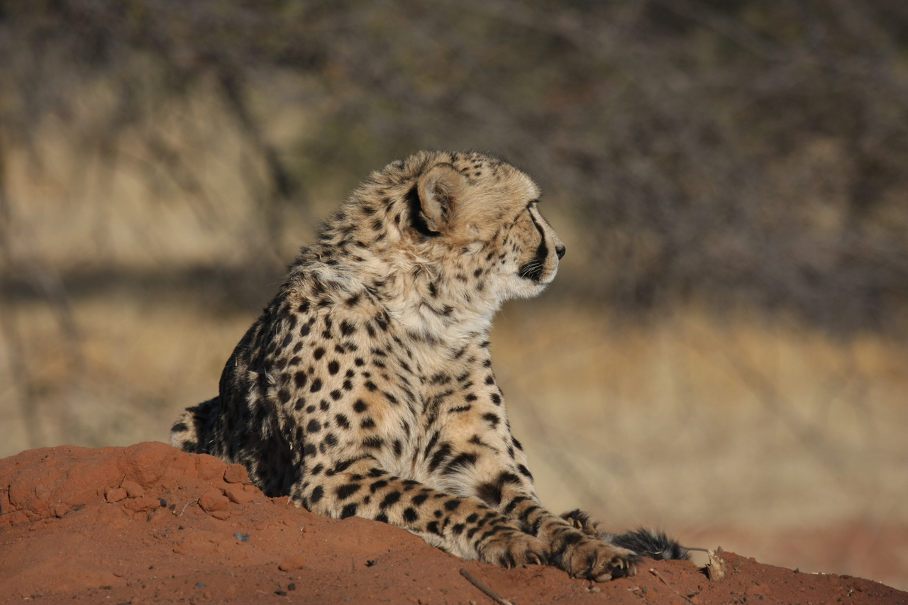 [6940] 2016_06_23_11_04_05_Africa_Canon_EOS_40D_IMG__01378.jpg