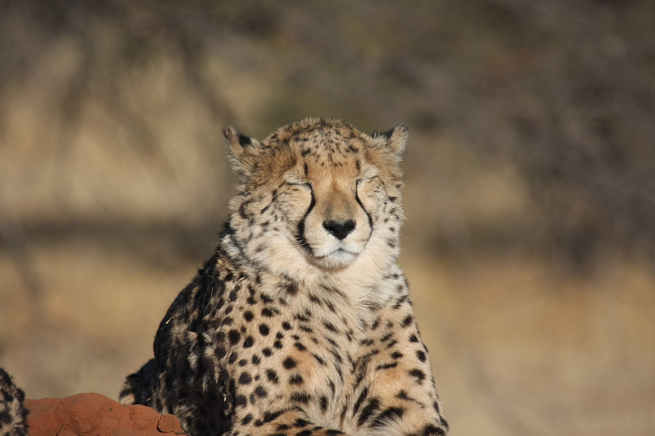 [7052] 2016_06_23_11_08_51_Africa_Canon_EOS_40D_IMG__00579.jpg