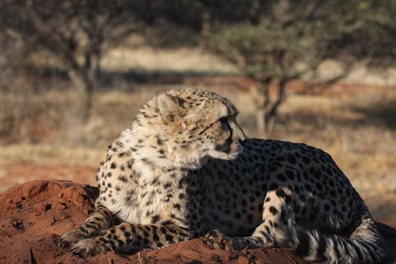 [7068] 2016_06_23_11_13_20_Africa_Canon_EOS_40D_IMG__01417.jpg