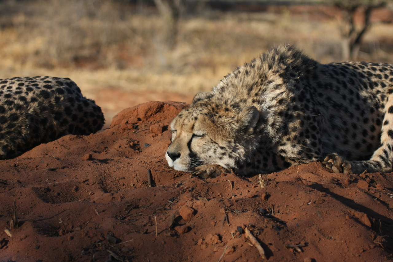 [7095] 2016_06_23_11_13_48_Africa_Canon_EOS_40D_IMG__01423.jpg