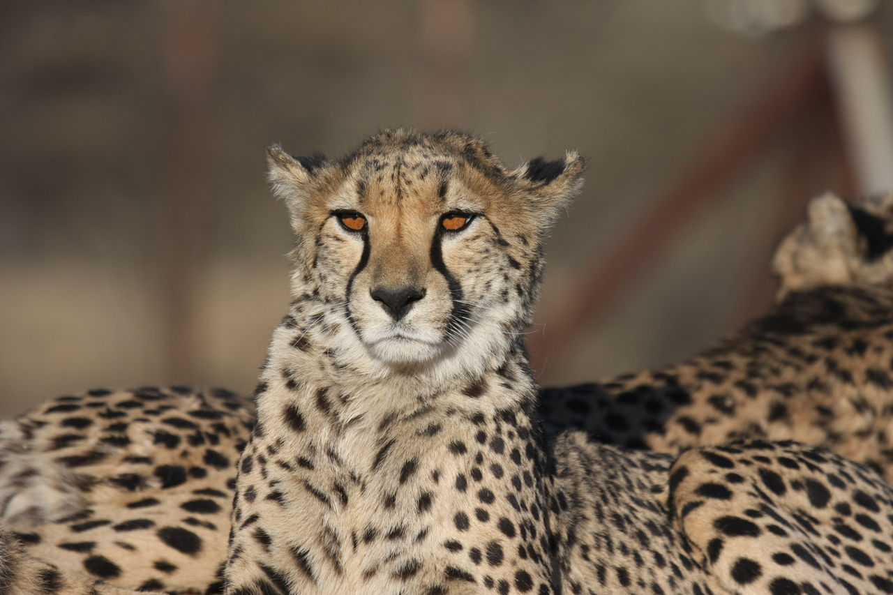 [7142] 2016_06_23_11_19_53_Africa_Canon_EOS_40D_IMG__08876.jpg