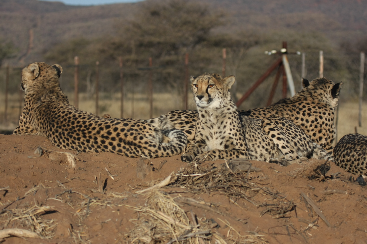 [7156] 2016_06_23_11_20_35_Africa_Canon_EOS_40D_IMG__08878.jpg