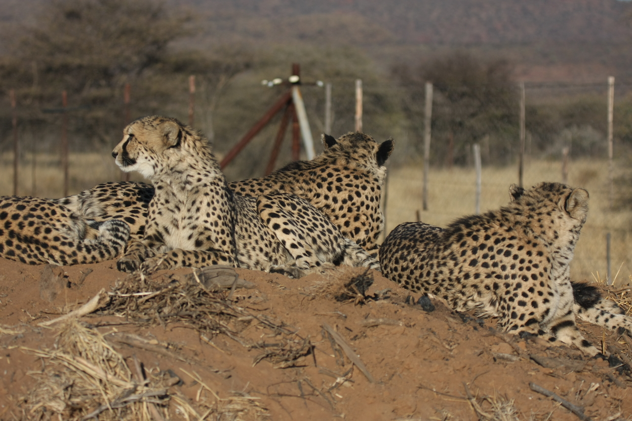 [7169] 2016_06_23_11_20_41_Africa_Canon_EOS_40D_IMG__01435.jpg