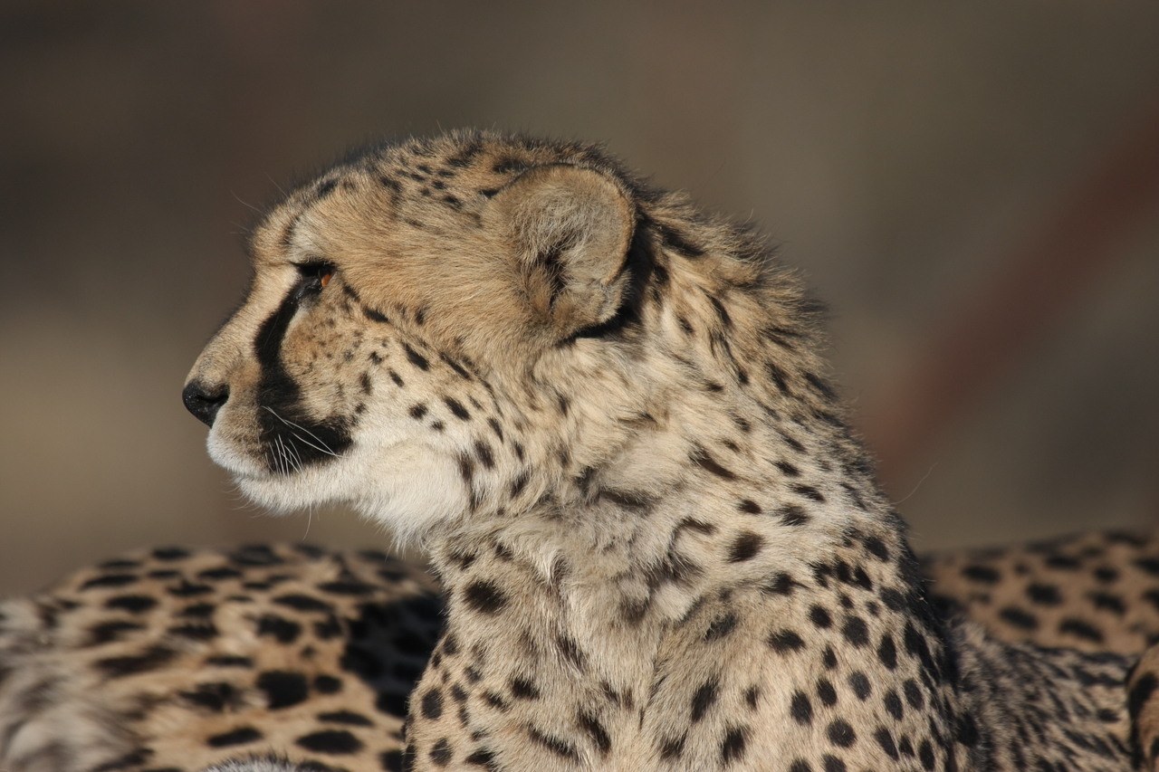 [7176] 2016_06_23_11_20_58_Africa_Canon_EOS_40D_IMG__01438.jpg