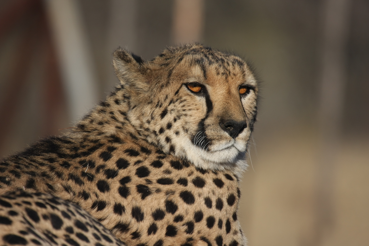 [7181] 2016_06_23_11_21_03_Africa_Canon_EOS_40D_IMG__01439.jpg