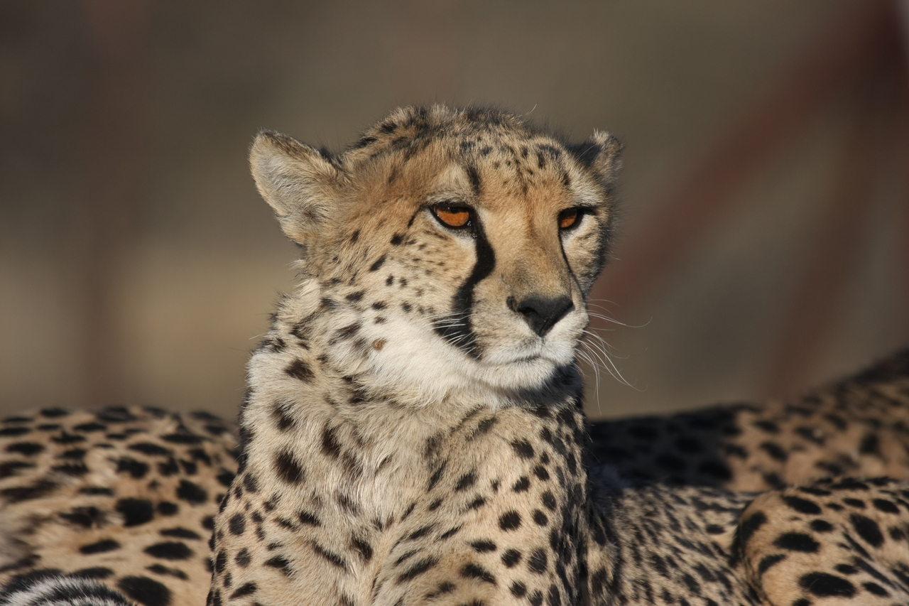 [7204] 2016_06_23_11_21_16_Africa_Canon_EOS_40D_IMG__08894.jpg