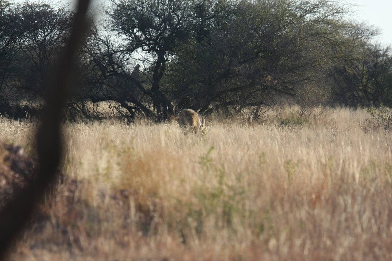 [7221] 2016_06_23_11_38_31_Africa_Canon_EOS_40D_IMG__00618.jpg