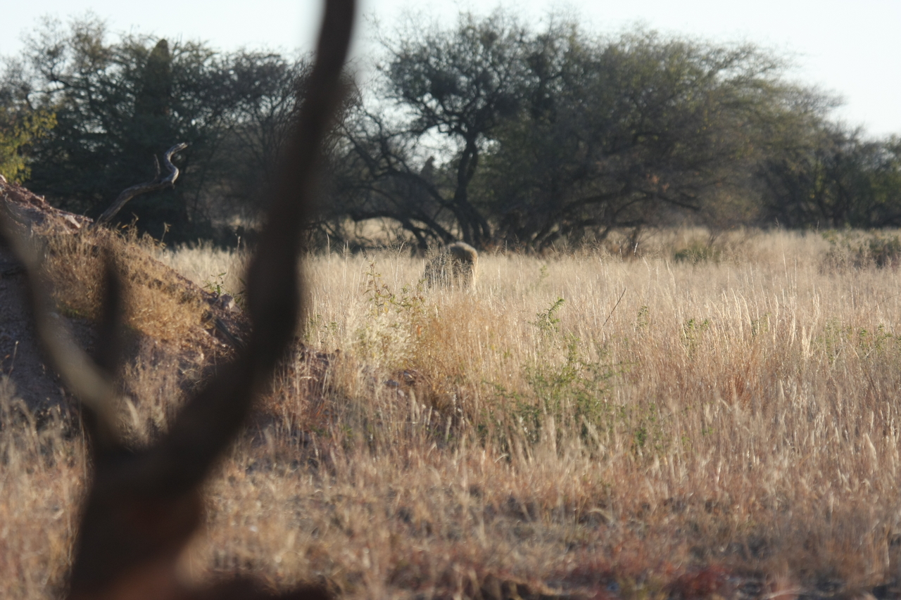 [7227] 2016_06_23_11_38_44_Africa_Canon_EOS_40D_IMG__00620.jpg