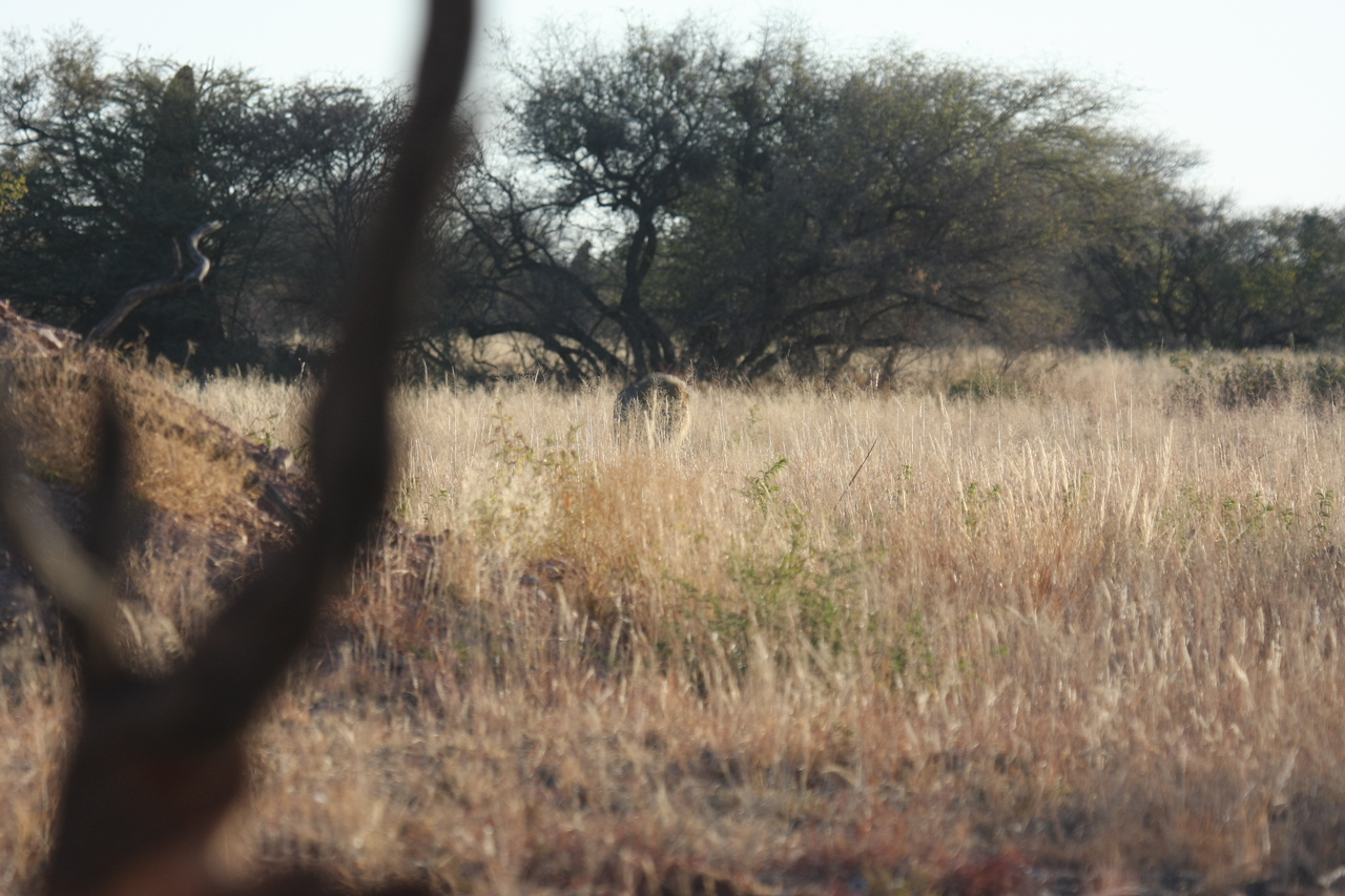 [7229] 2016_06_23_11_38_44_Africa_Canon_EOS_40D_IMG__00622.jpg