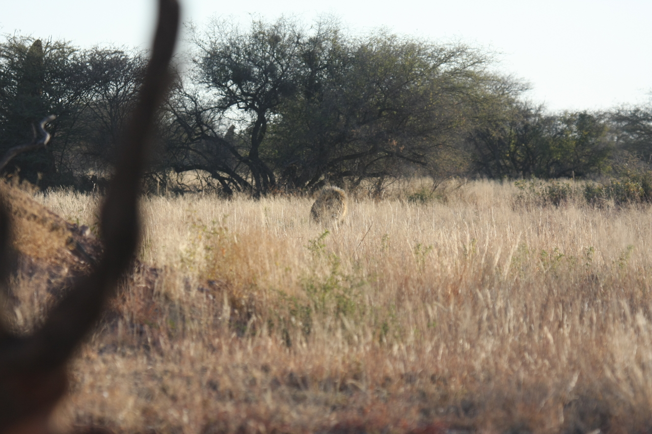 [7239] 2016_06_23_11_38_48_Africa_Canon_EOS_40D_IMG__01458.jpg