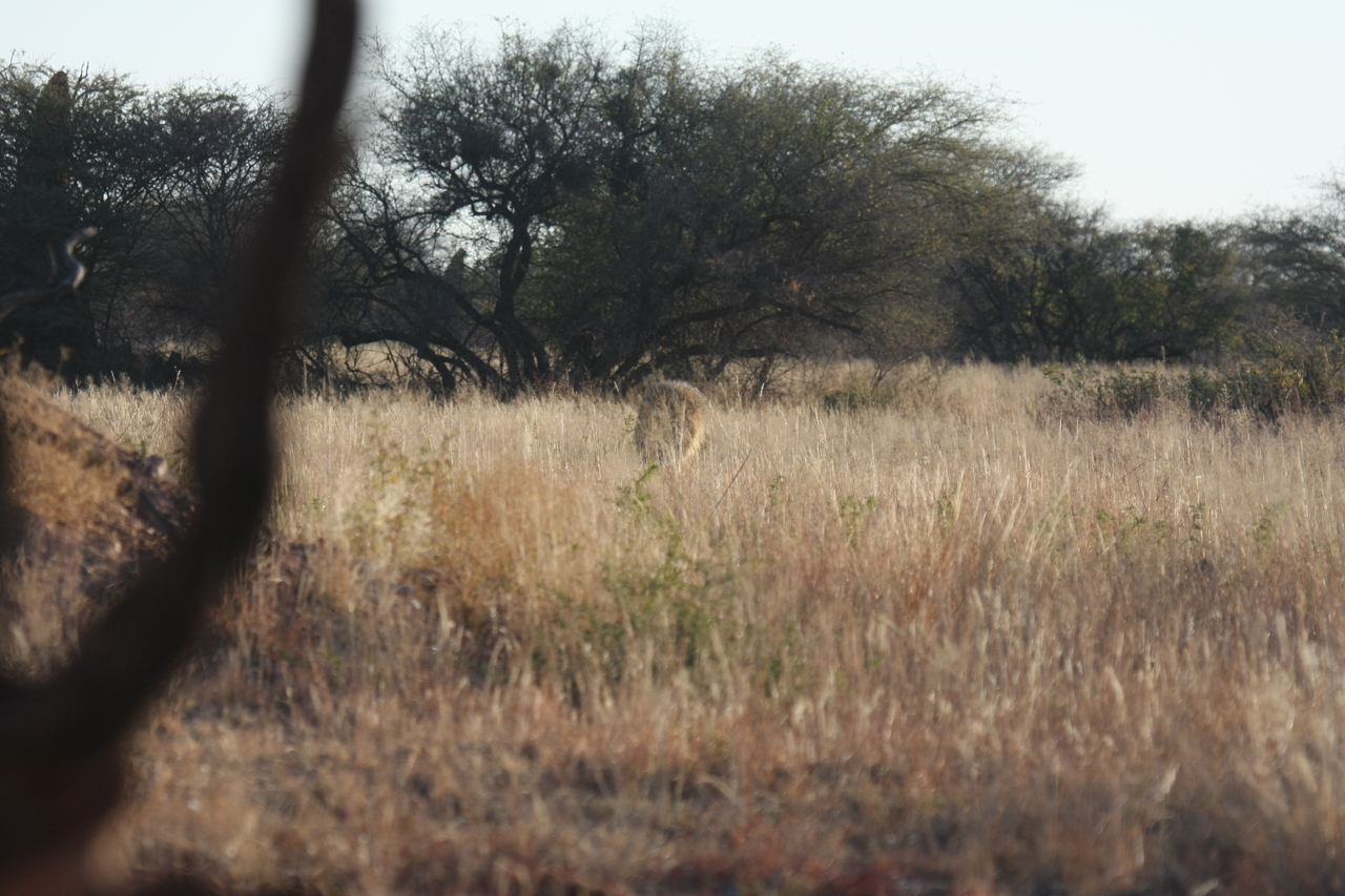 [7247] 2016_06_23_11_38_54_Africa_Canon_EOS_40D_IMG__01461.jpg