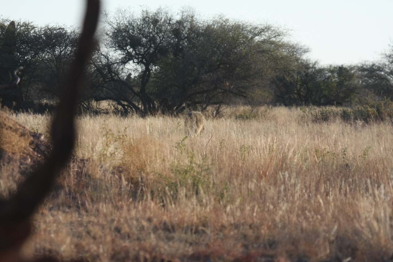 [7248] 2016_06_23_11_38_54_Africa_Canon_EOS_40D_IMG__08906.jpg