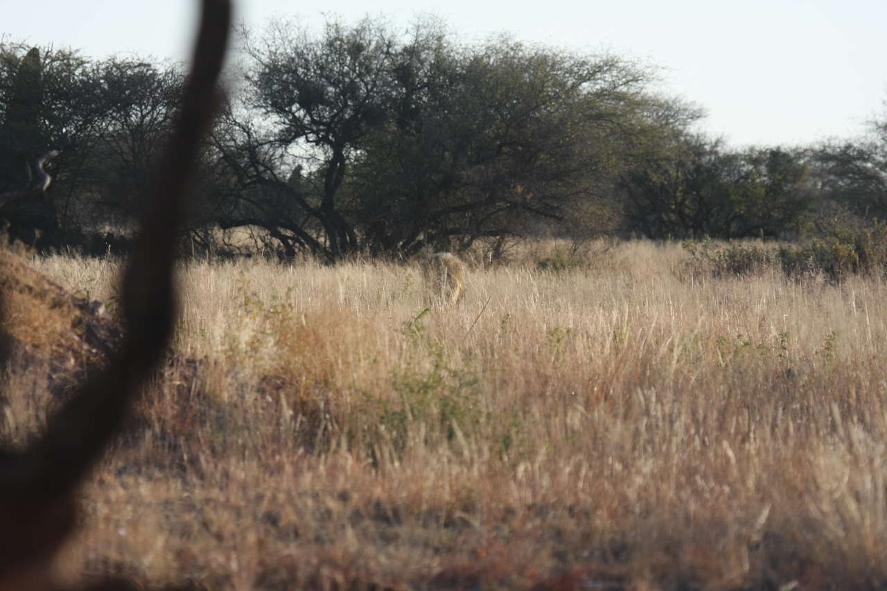 [7249] 2016_06_23_11_38_54_Africa_Canon_EOS_40D_IMG__08907.jpg