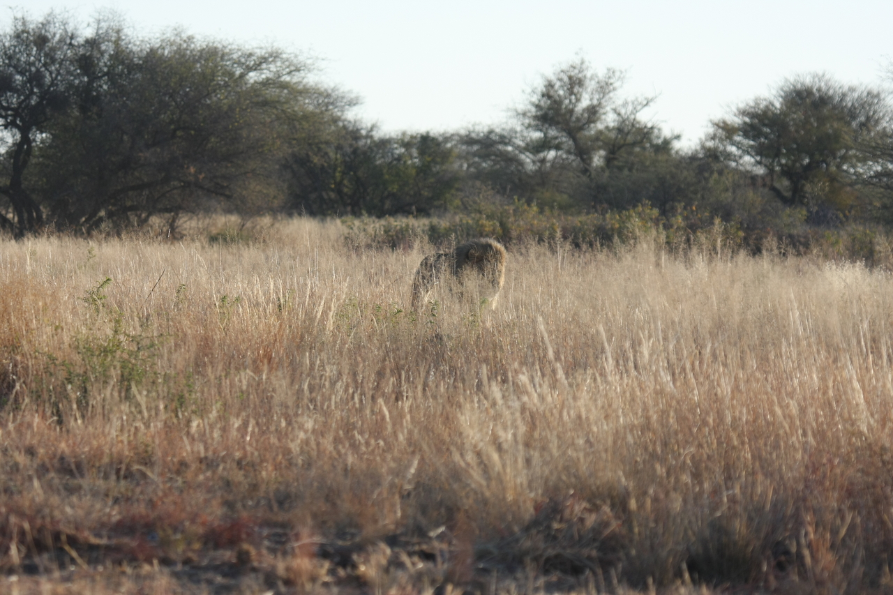 [7257] 2016_06_23_11_39_04_Africa_Canon_EOS_40D_IMG__08909.jpg