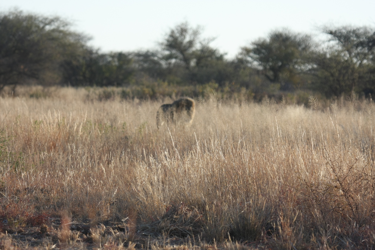 [7259] 2016_06_23_11_39_04_Africa_Canon_EOS_40D_IMG__08911.jpg