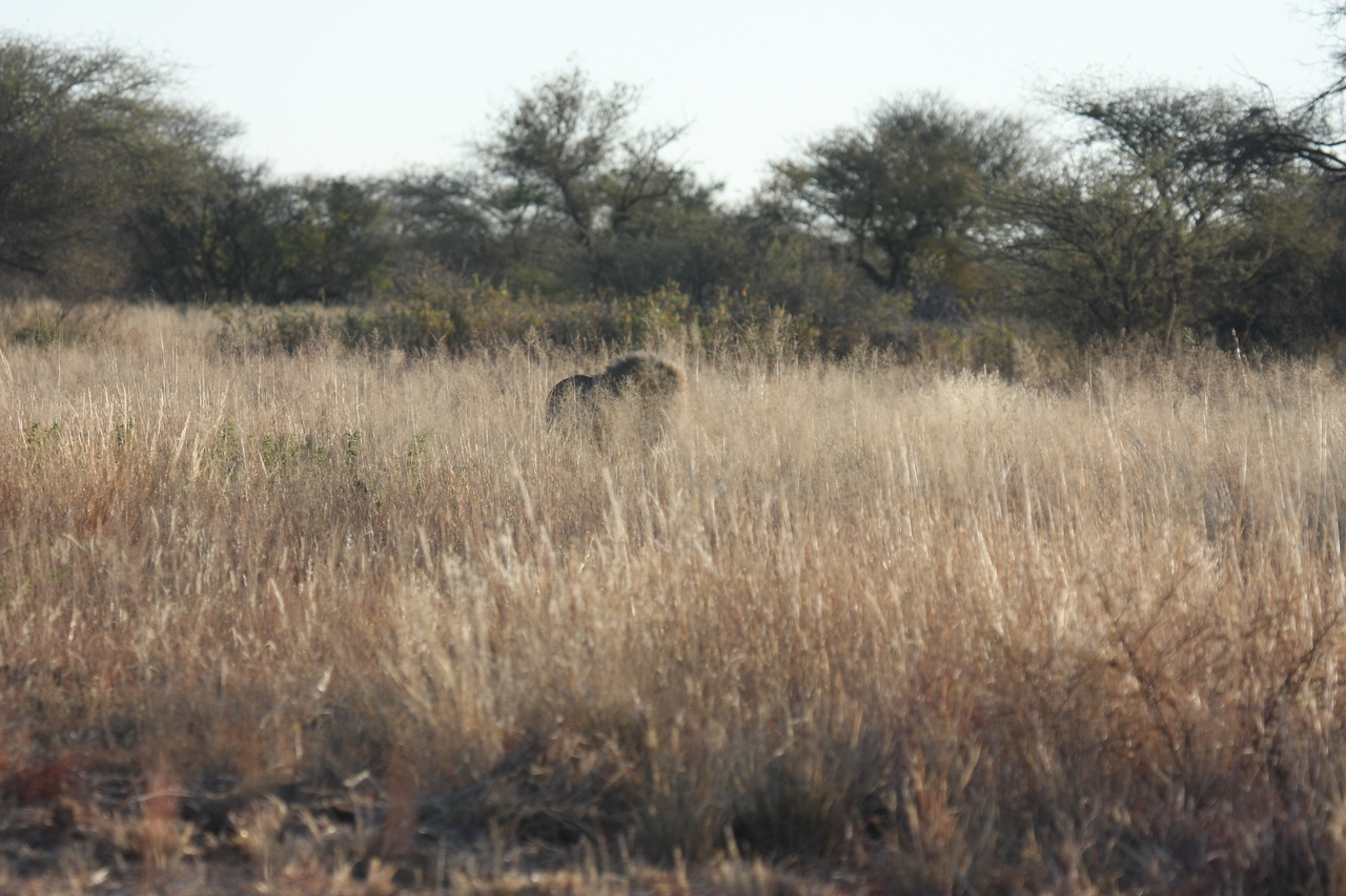 [7261] 2016_06_23_11_39_05_Africa_Canon_EOS_40D_IMG__01465.jpg