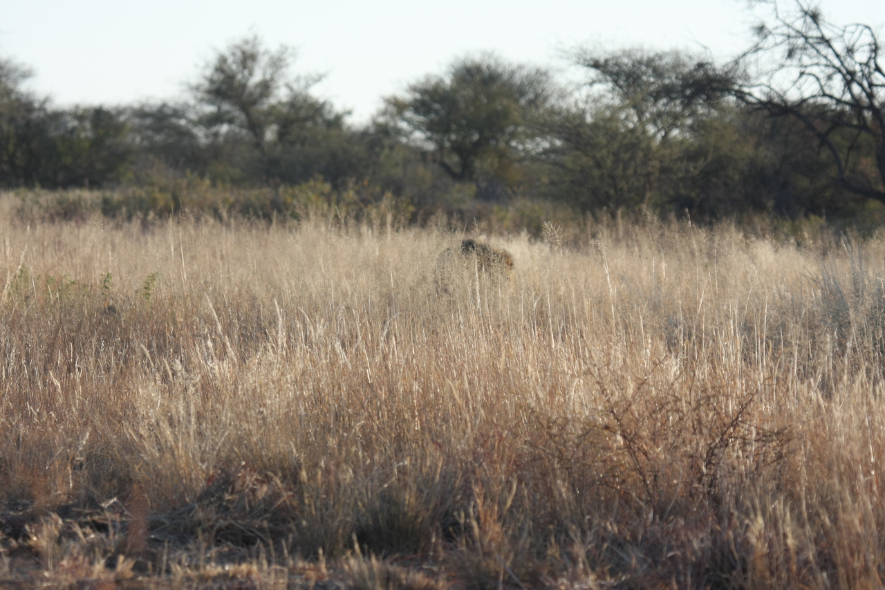 [7266] 2016_06_23_11_39_08_Africa_Canon_EOS_40D_IMG__01467.jpg