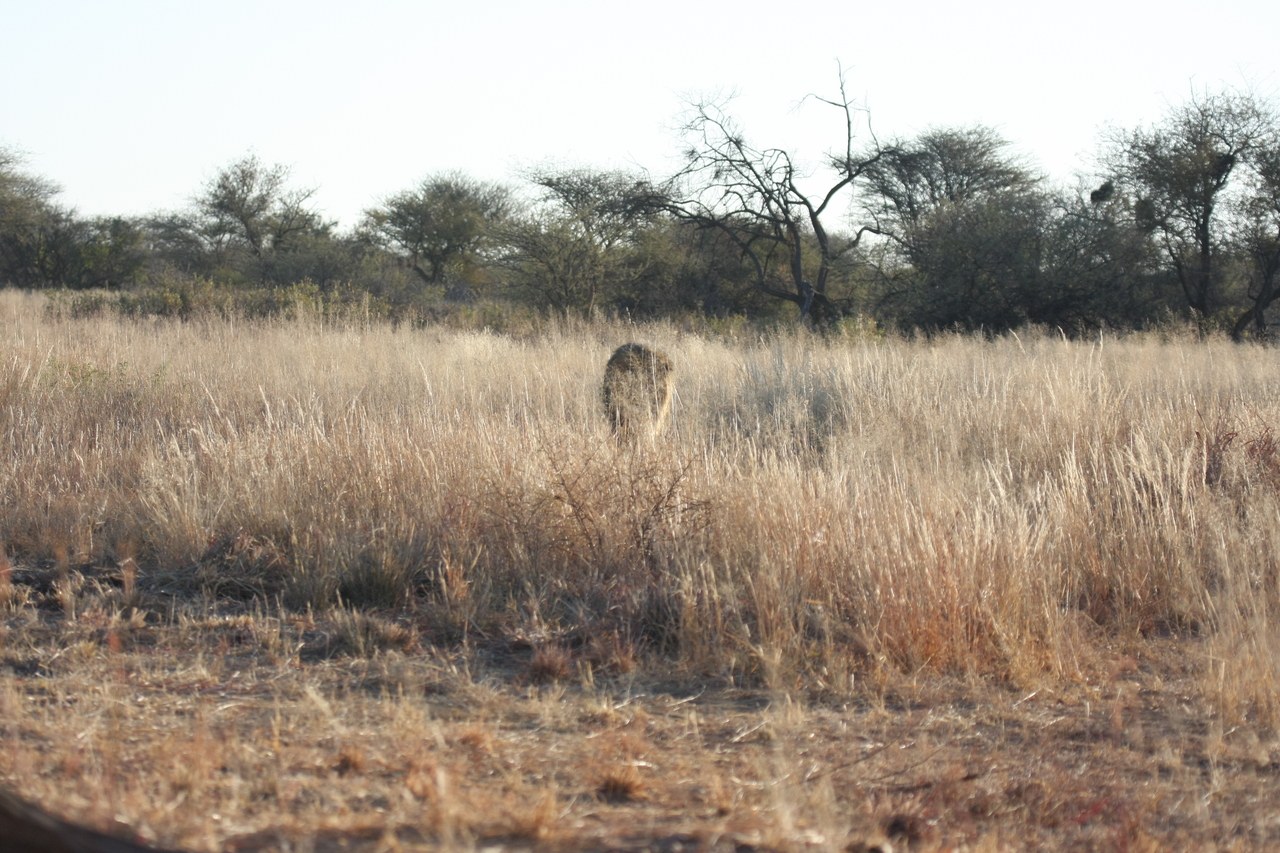 [7276] 2016_06_23_11_39_12_Africa_Canon_EOS_40D_IMG__01470.jpg