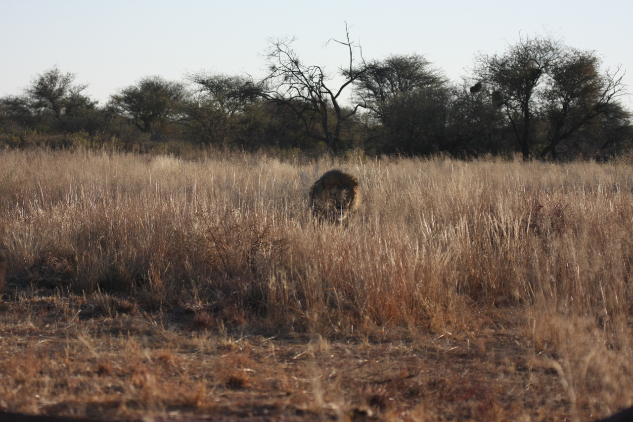 [7285] 2016_06_23_11_39_16_Africa_Canon_EOS_40D_IMG__01473.jpg