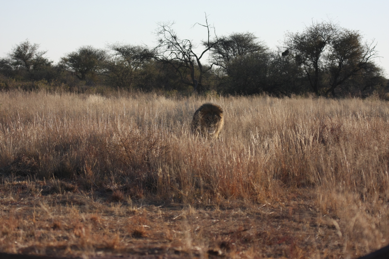 [7289] 2016_06_23_11_39_16_Africa_Canon_EOS_40D_IMG__08921.jpg