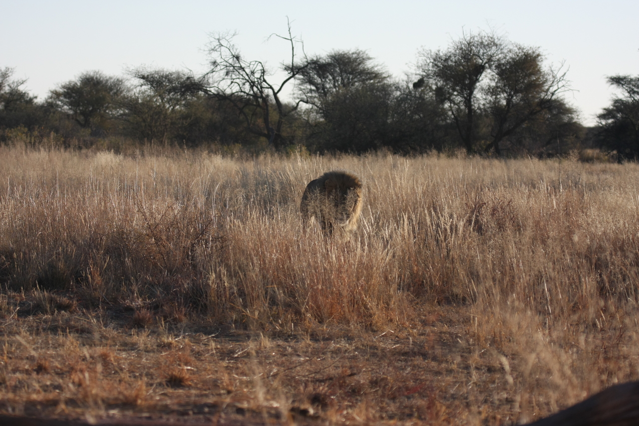 [7295] 2016_06_23_11_39_17_Africa_Canon_EOS_40D_IMG__08923.jpg