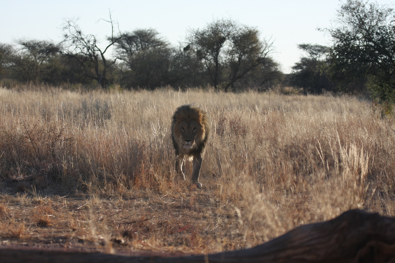 [7303] 2016_06_23_11_39_20_Africa_Canon_EOS_40D_IMG__01479.jpg
