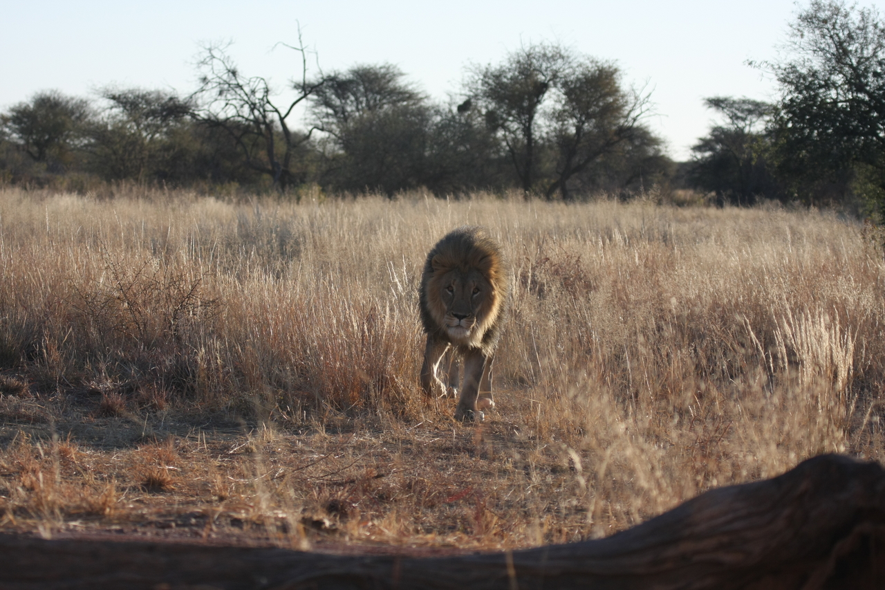 [7309] 2016_06_23_11_39_21_Africa_Canon_EOS_40D_IMG__00648.jpg