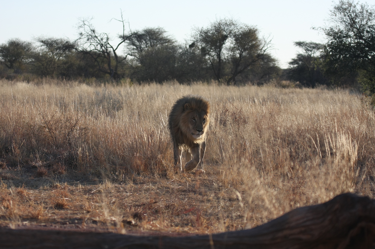 [7312] 2016_06_23_11_39_21_Africa_Canon_EOS_40D_IMG__08928.jpg
