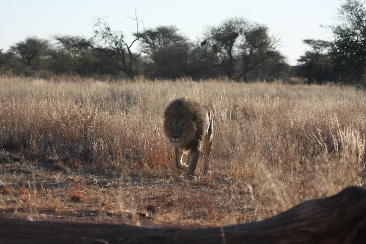 [7316] 2016_06_23_11_39_22_Africa_Canon_EOS_40D_IMG__00651.jpg