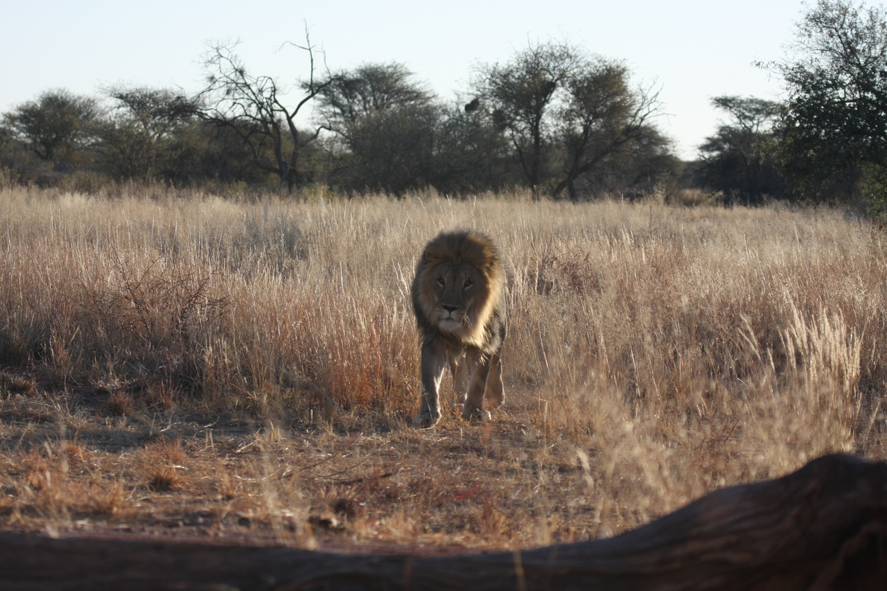 [7320] 2016_06_23_11_39_22_Africa_Canon_EOS_40D_IMG__08930.jpg