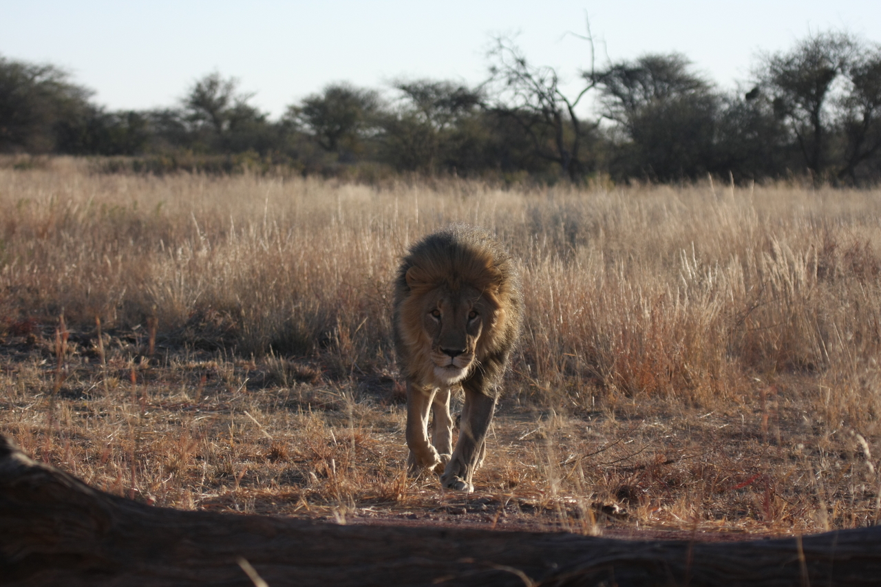 [7333] 2016_06_23_11_39_24_Africa_Canon_EOS_40D_IMG__08935.jpg