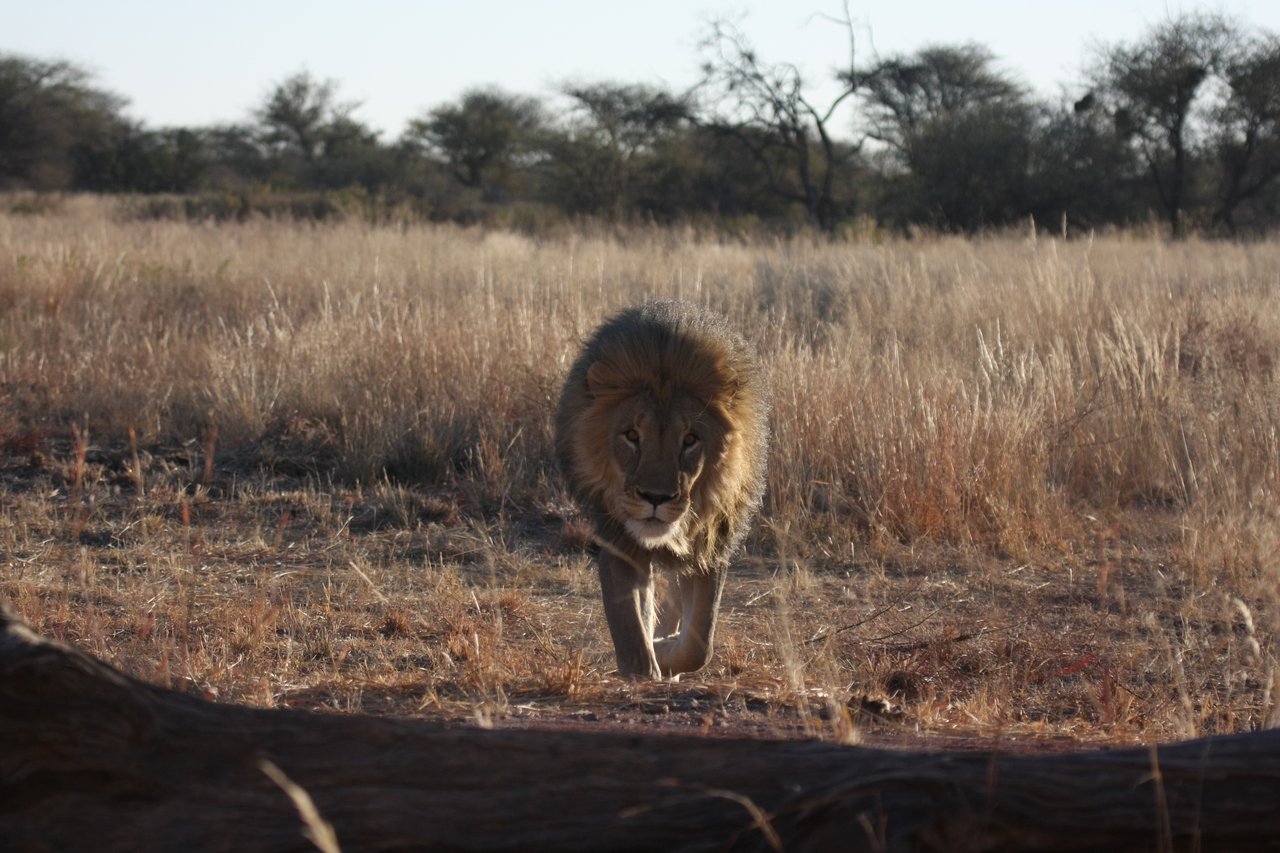 [7334] 2016_06_23_11_39_24_Africa_Canon_EOS_40D_IMG__08936.jpg