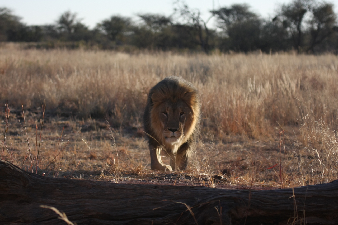 [7341] 2016_06_23_11_39_25_Africa_Canon_EOS_40D_IMG__08937.jpg