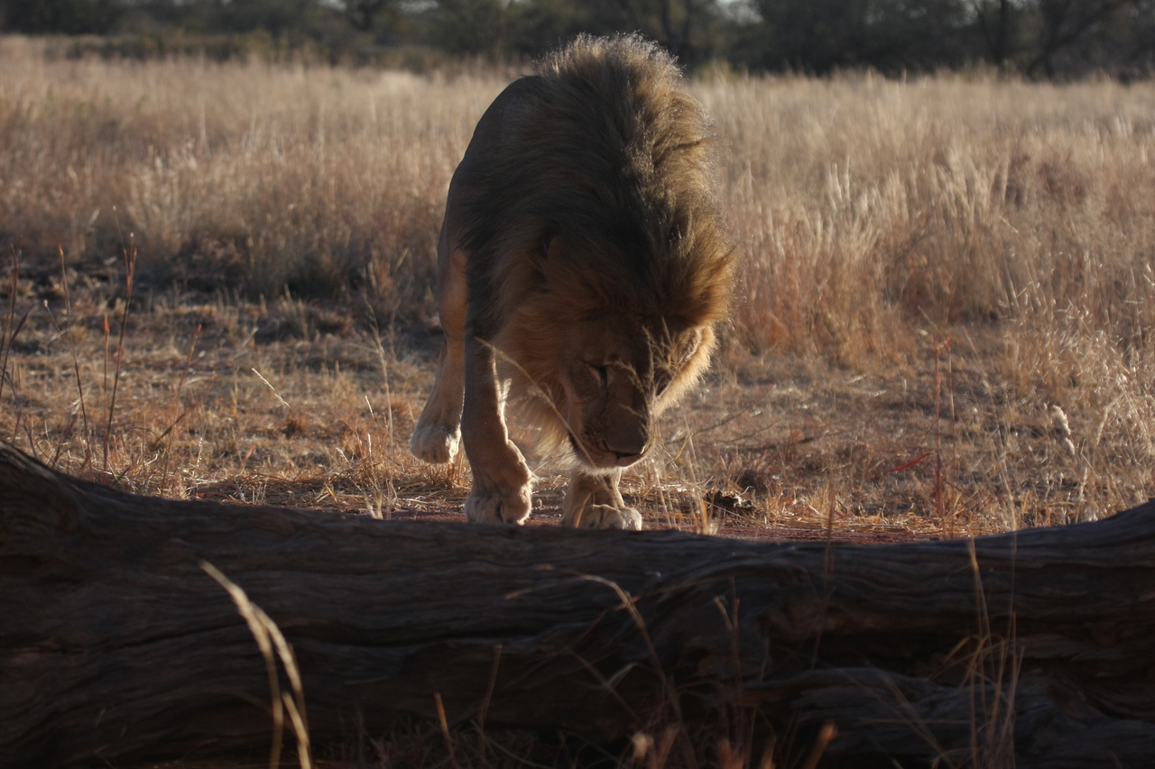 [7348] 2016_06_23_11_39_26_Africa_Canon_EOS_40D_IMG__08940.jpg