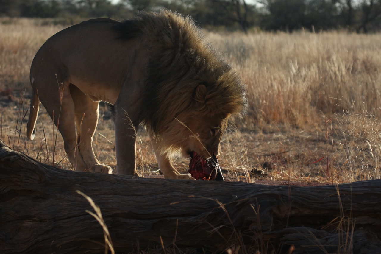 [7351] 2016_06_23_11_39_28_Africa_Canon_EOS_40D_IMG__00662.jpg