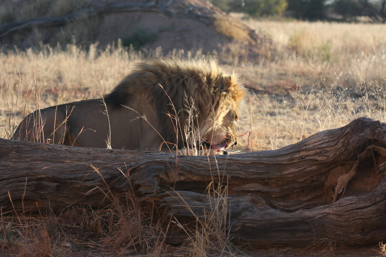 [7371] 2016_06_23_11_39_51_Africa_Canon_EOS_40D_IMG__01501.jpg